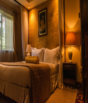 One Bedroom Apartment