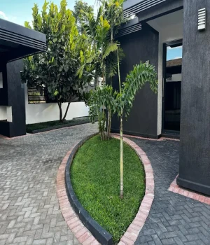 Pisano Luxury Apartments
