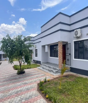 White Rhino Apartment & Tour