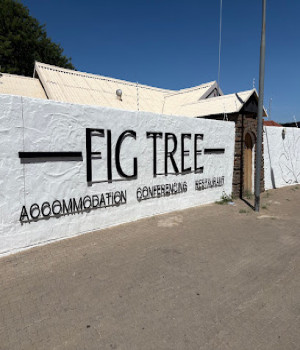 FIG TREE: accommodation, conferencing, restaurant.