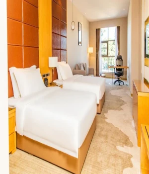 Standard double room
