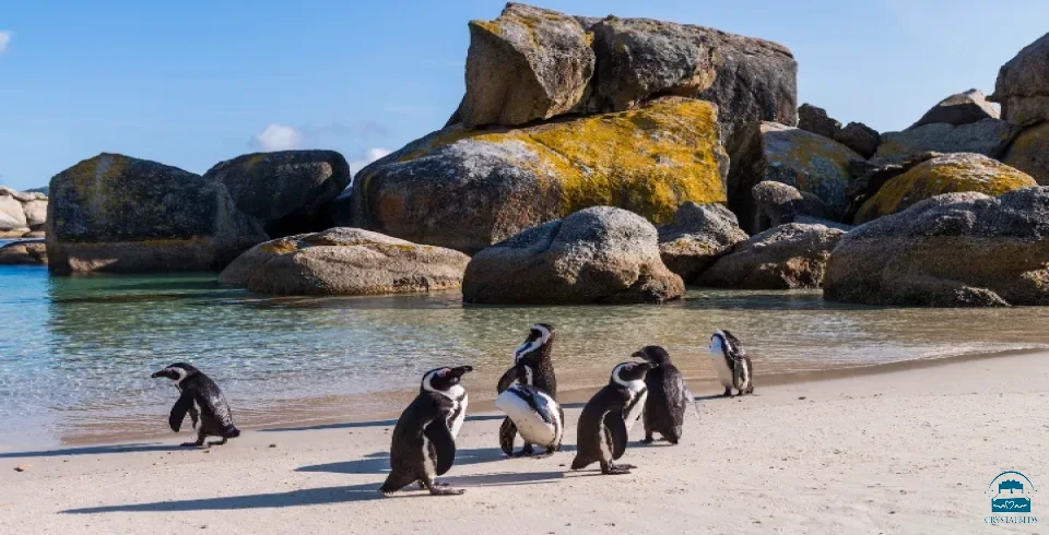 Simon's Town Quayside Hotel/lodge